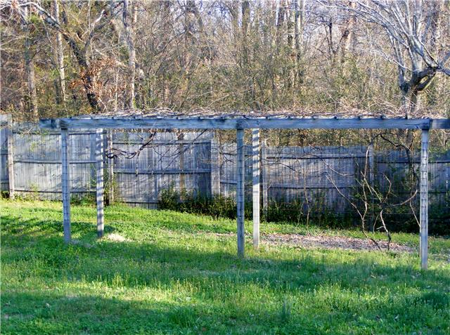 1240 Petty Road White Bluff, TN 37187 - Photo 13 of 18 Gallery Image 13