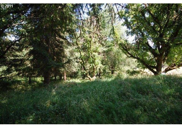 701 Sauer Road Kalama, WA 98625 - Photo 7 of 8 Gallery Image 7