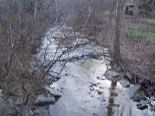 685 West Fork Road Summertown, TN 38483 - Photo 12 of 27 Creek on property