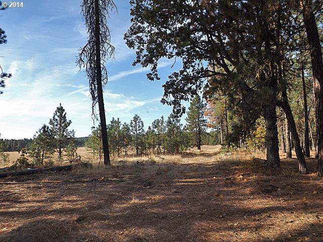 West Homestead Road, Unit LOT18 Goldendale, WA 98620 - Photo 12 of 16 Gallery Image 12