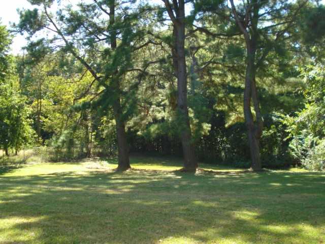 85 Smithville Road Ripley, TN 38063 - Photo 10 of 10