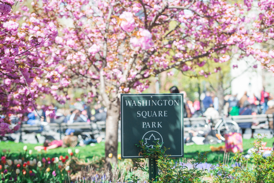 54 E 8th St, Manhattan, NY 10003 - Photo 6 of 7