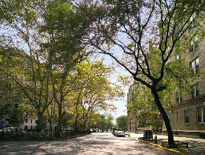 790 Riverside Drive, Unit 3F Manhattan, NY 10032 - Photo 10 of 11