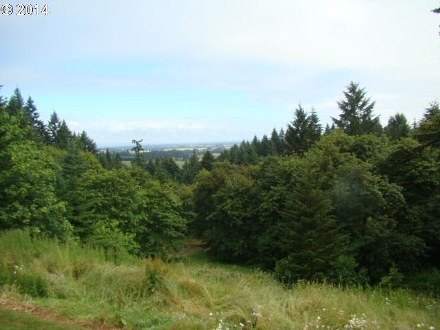 15830 Forest Ridge Road Northeast Silverton, OR 97381 - Photo 3 of 16 Gallery Image 3