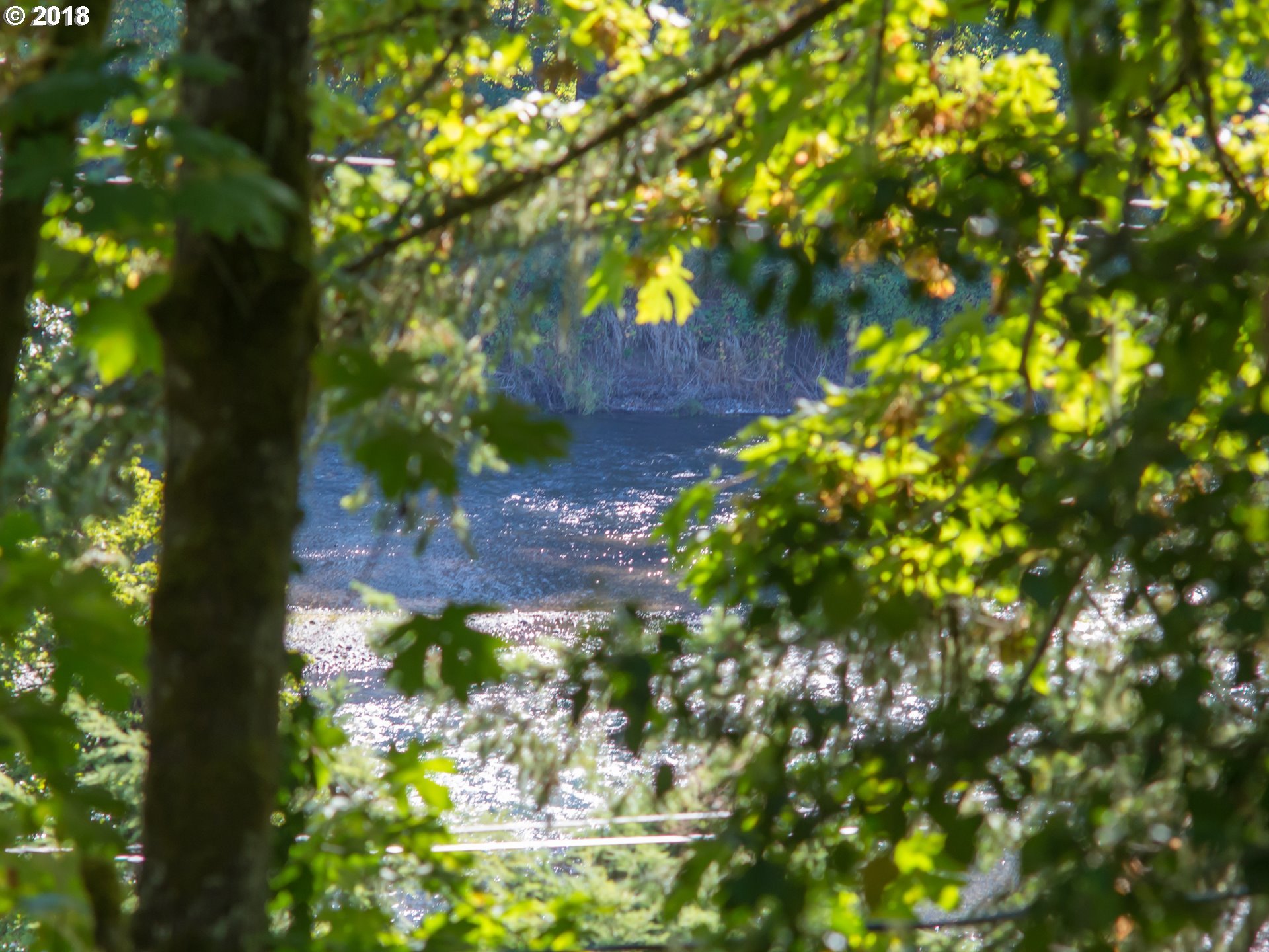 35803 Camp Creek Road Springfield, OR 97478 - Photo 24 of 31