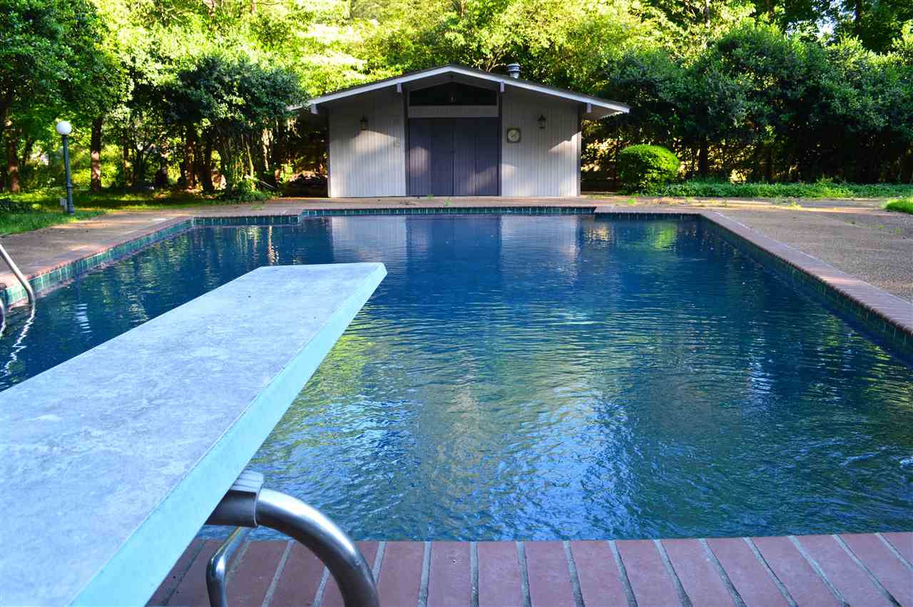 68 South Mendenhall Road Memphis, TN 38117 - Photo 25 of 25 Large gunite in-ground salt water swimming pool with color lighting and pool-house with full bath and serving kitchenette