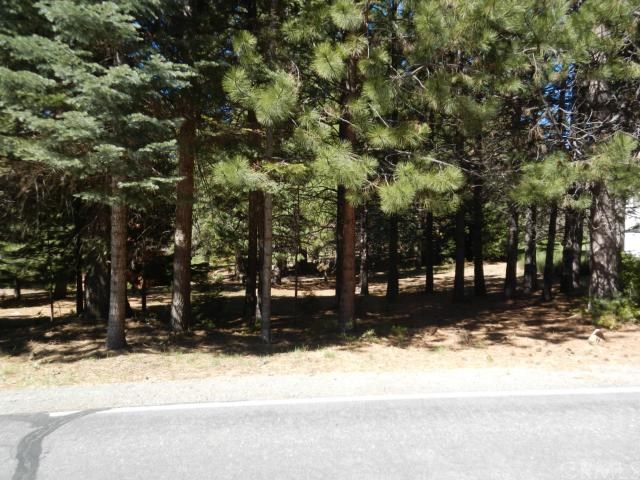 808 Golf Club Road Lake Almanor, CA 96137 - Photo 1 of 1