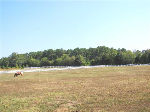 700 Frazier Road Rossville, TN 38066 - Photo 12 of 12 Front Fenced Pasture