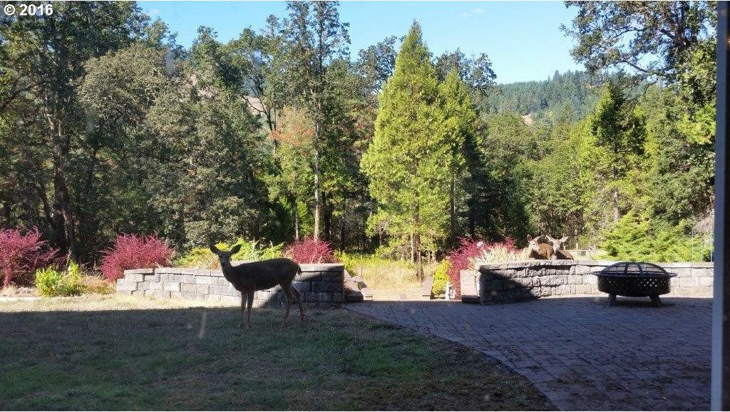1150 Indian Bend Road Umpqua, OR 97486 - Photo 15 of 32 Gallery Image 15