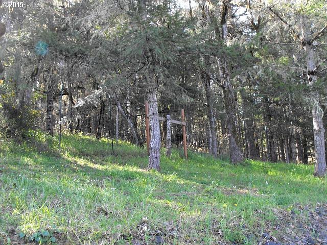 1361 Lower Crest Road Oakland, OR 97462 - Photo 12 of 15 Gallery Image 12