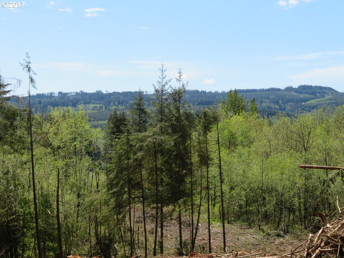 South Military Road, Unit 2 Winlock, WA 98596 - Photo 22 of 26
