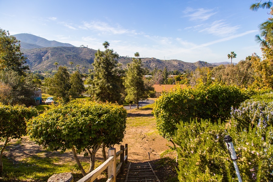 3196 Pine Lane Spring Valley, CA 91978 - Photo 8 of 18