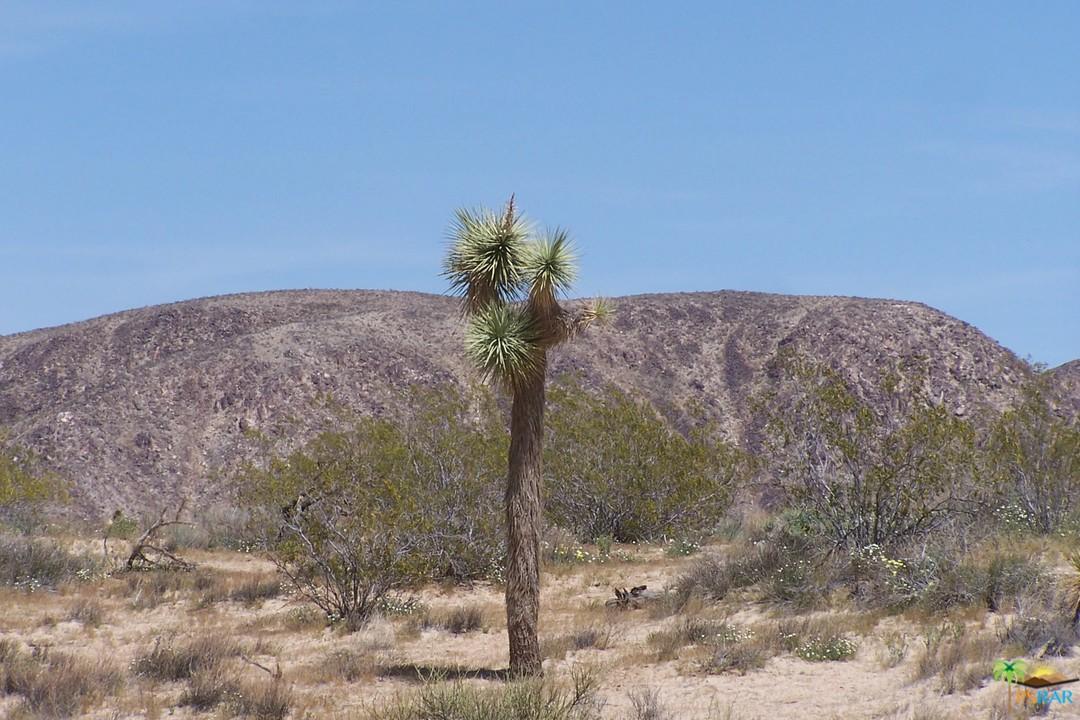 0 Jack Rabbit Lane Landers, CA 92285 - Photo 10 of 11 Gallery Image 10