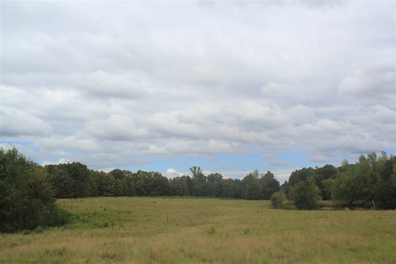 3200 North Red Banks Road Red Banks, MS 38635 - Photo 13 of 25 Gallery Image 13