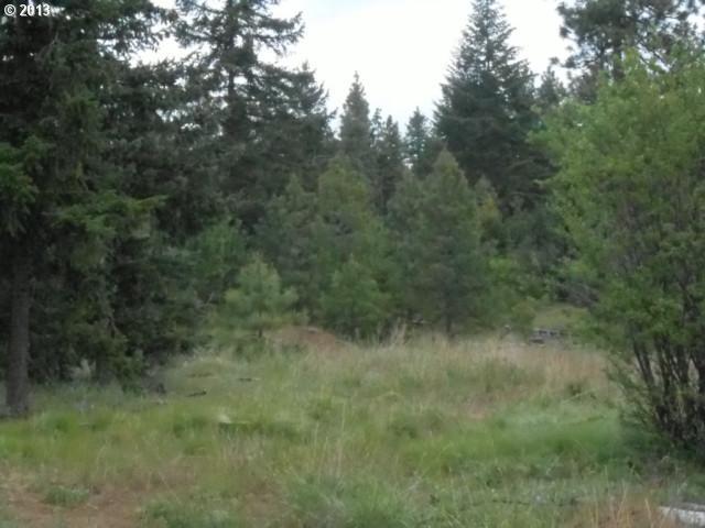 726 Boss Road Goldendale, WA 98620 - Photo 7 of 14 Gallery Image 7