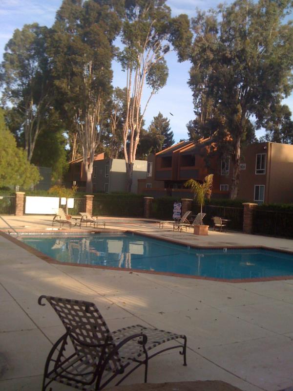 432 Dempsey Road, Unit 235 Milpitas, CA 95035 - Photo 10 of 10 Gallery Image 10