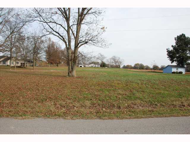 0 Cobb Crossing Road Bells, TN 38006 - Photo 2 of 2 Gallery Image 2