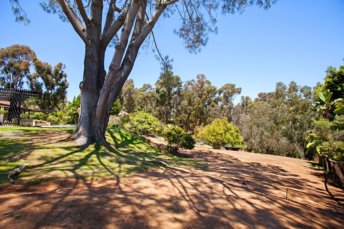14921 Rancho Real Del Mar, CA 92014 - Photo 17 of 25