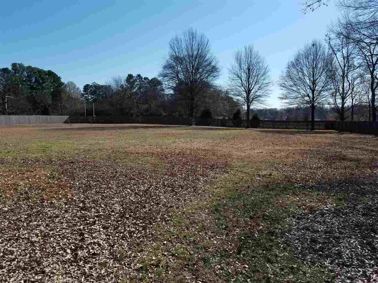 6931 7th Road Bartlett, TN 38135 - Photo 8 of 24 Gallery Image 8