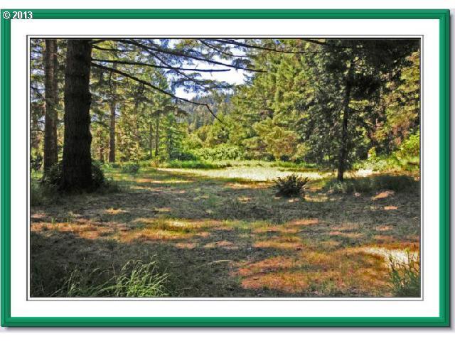 99208 Silver Creek Road Agness, OR 97406 - Photo 12 of 16 Gallery Image 12