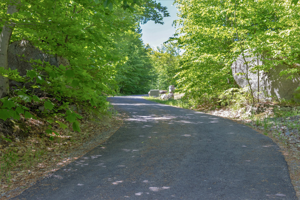 84 Twin Boulder Drive Diamond Point, NY 12845 - Photo 23 of 26