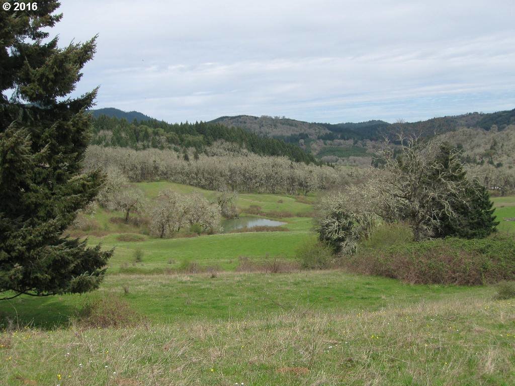 0 Sparks Road Oakland, OR 97462 - Photo 12 of 18 Gallery Image 12