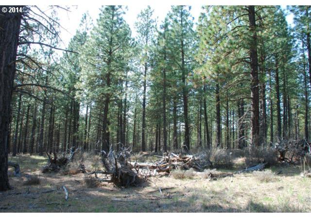 Box Canyon Road, Unit 1 Goldendale, WA 98620 - Photo 2 of 15 Gallery Image 2