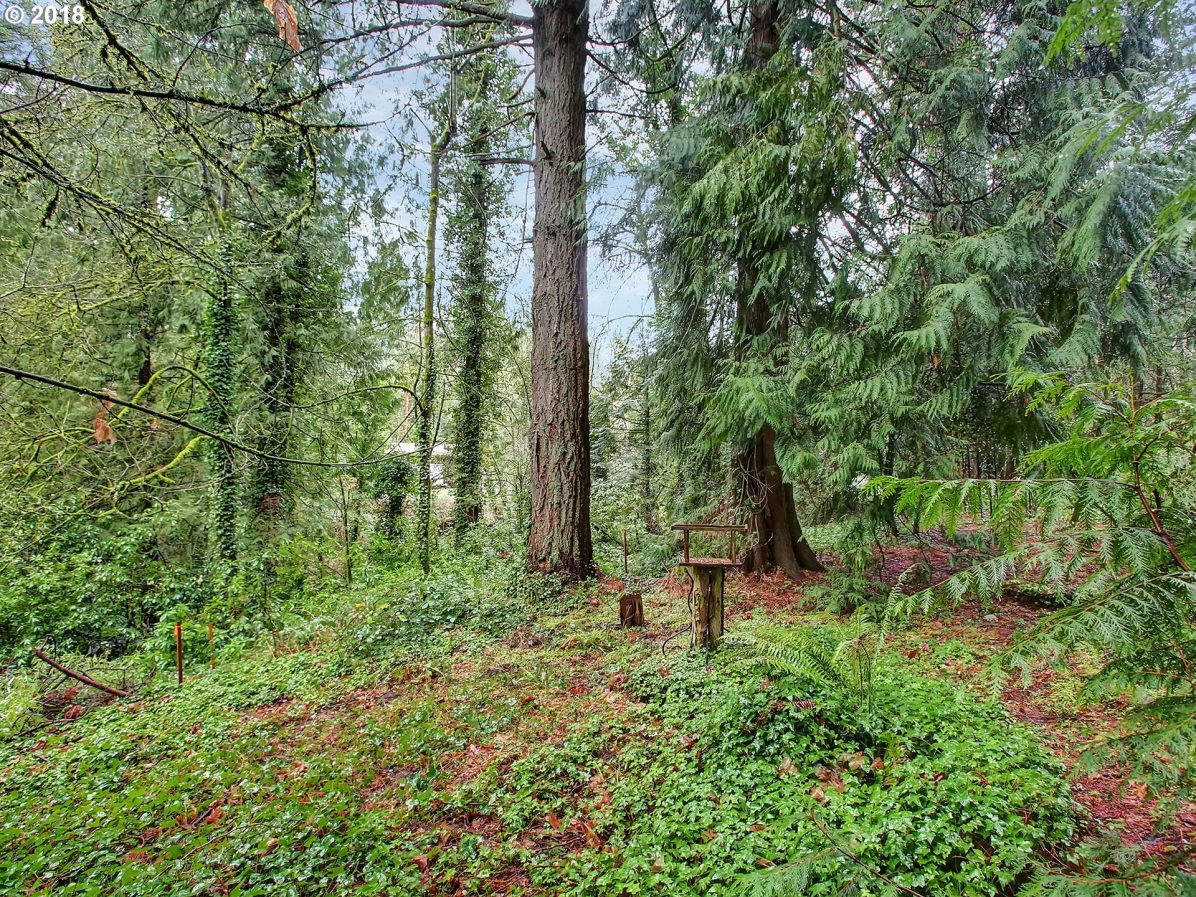 10205 Northwest Leahy Road Portland, OR 97229 - Photo 23 of 28 Gallery Image 23