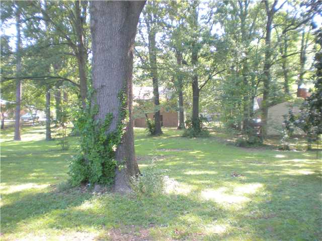 2856 Pembroke Road Memphis, TN 38128 - Photo 3 of 12 HUGE BACKYARD