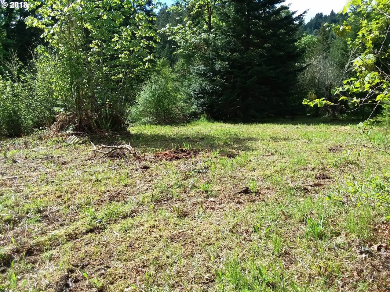 710 Rock Creek Road Drain, OR 97435 - Photo 5 of 10 Gallery Image 5