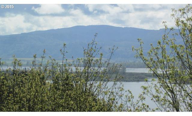 Maple Ridge Road, Unit 18 Cathlamet, WA 98612 - Photo 2 of 16 Gallery Image 2