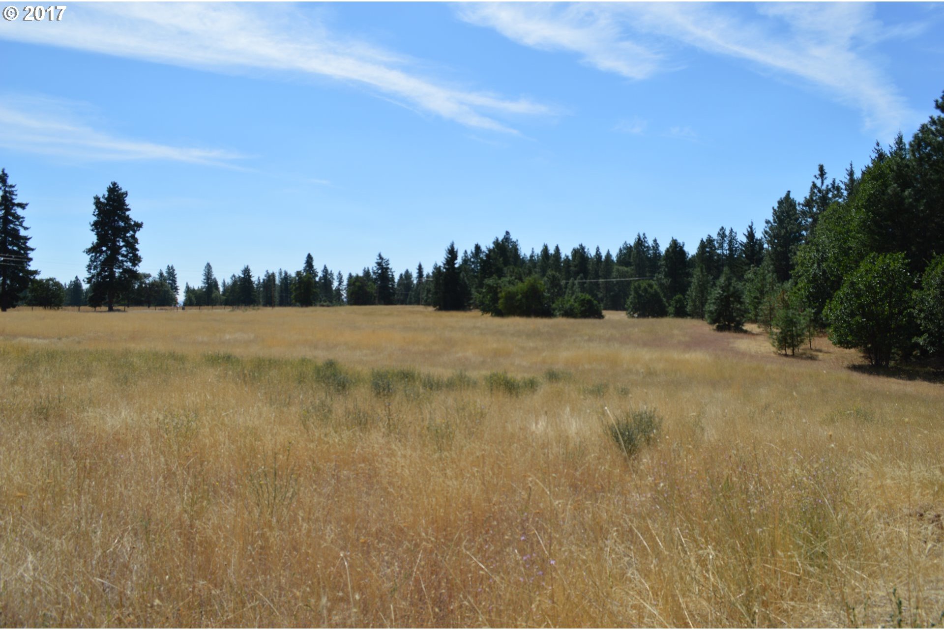 467 Cedar Valley Road, Unit 2 Goldendale, WA 98620 - Photo 5 of 5 Gallery Image 5