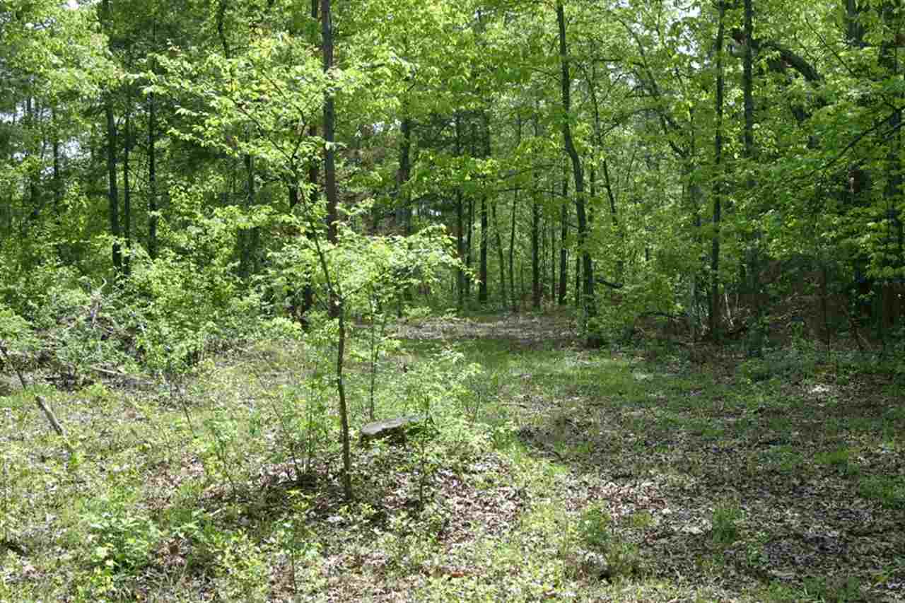 0 Bingham Road Saltillo, TN 38370 - Photo 2 of 6 Gallery Image 2