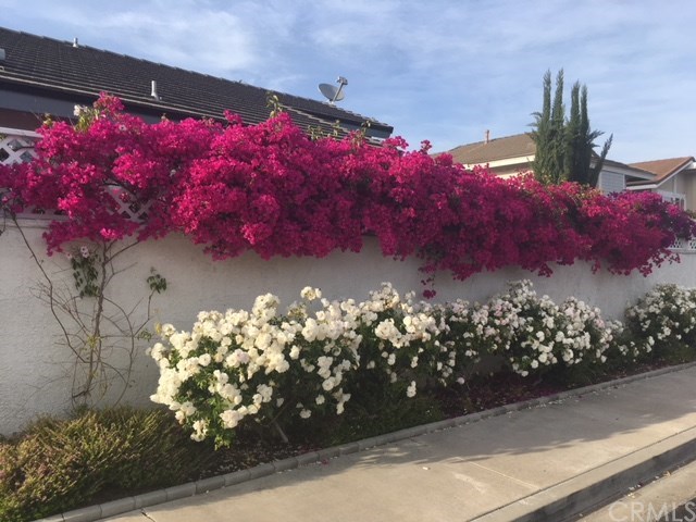 21 Morning Dove Irvine, CA 92604 - Photo 27 of 27