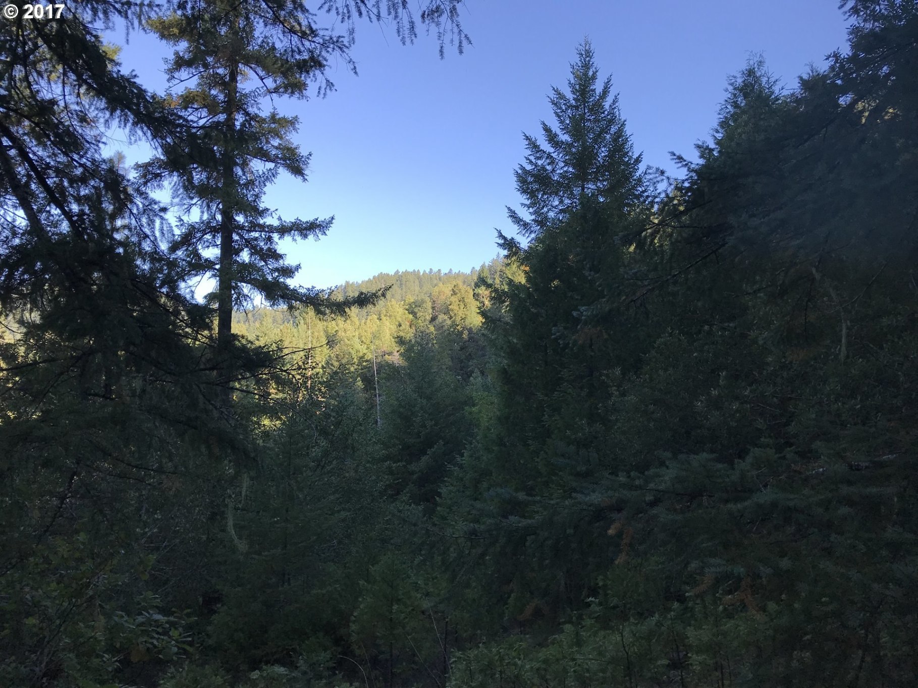Old House Creek Road Agness, OR 97406 - Photo 25 of 31