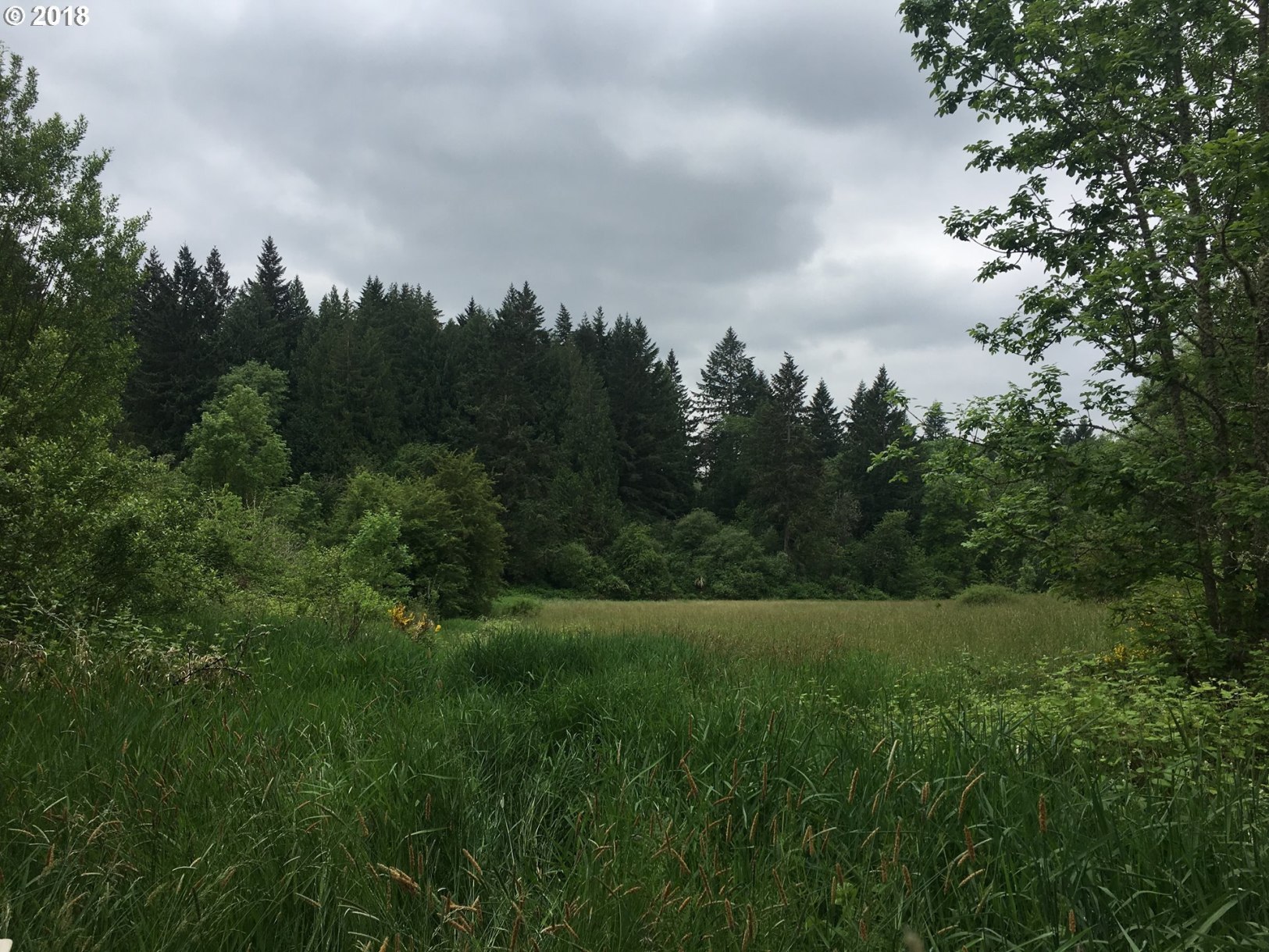 11500 South Township Road Canby, OR 97013 - Photo 9 of 25 Gallery Image 9