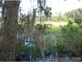 436 Coopers Cove Road St. Augustine, FL 32095 - Photo 12 of 12 MARSH VIEW