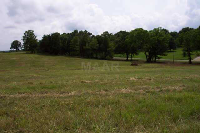 116 Watson Desoto Road Byhalia, MS 38611 - Photo 1 of 2 Gallery Image 1
