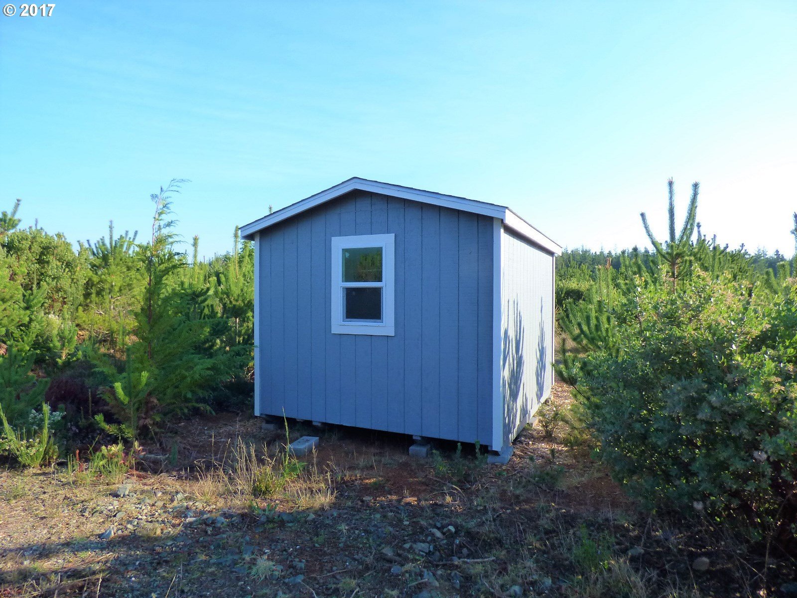 50801 Casey Road Bandon, OR 97411 - Photo 21 of 22