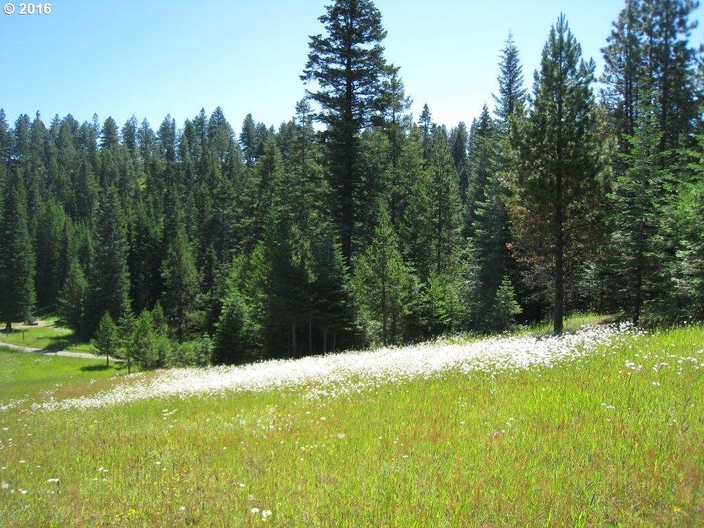 61099 Old Ski Run Road Joseph, OR 97846 - Photo 11 of 17 Gallery Image 11