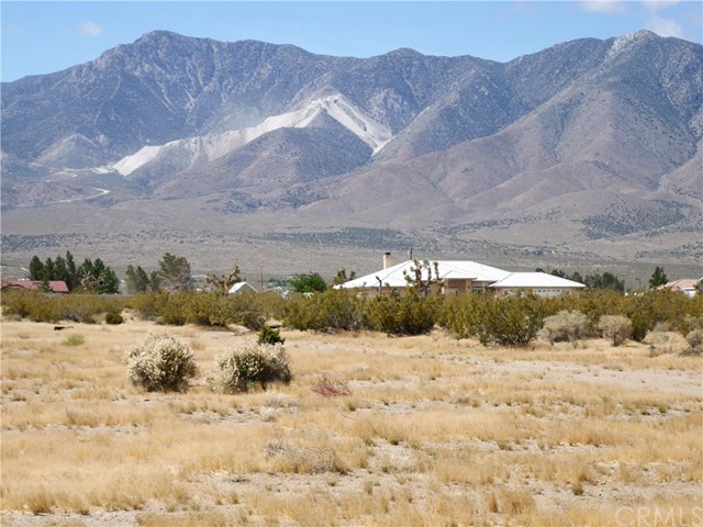 30769 Bullrush Rd & Custer Road Lucerne Valley, CA 92356 - Photo 1 of 1 0451-561-14