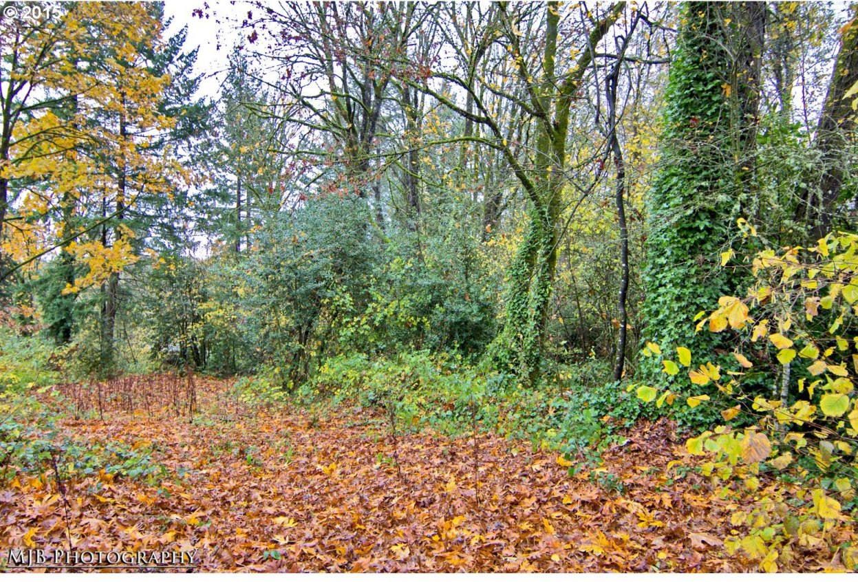 0 Southwest Ridgeview Lane Portland, OR 97219 - Photo 3 of 9 Gallery Image 3