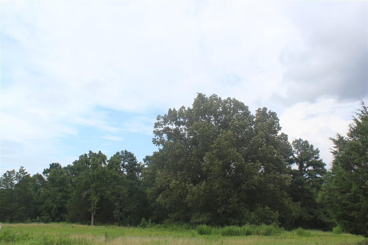 1000 Strickland Road Byhalia, MS 38611 - Photo 21 of 25 Gallery Image 21