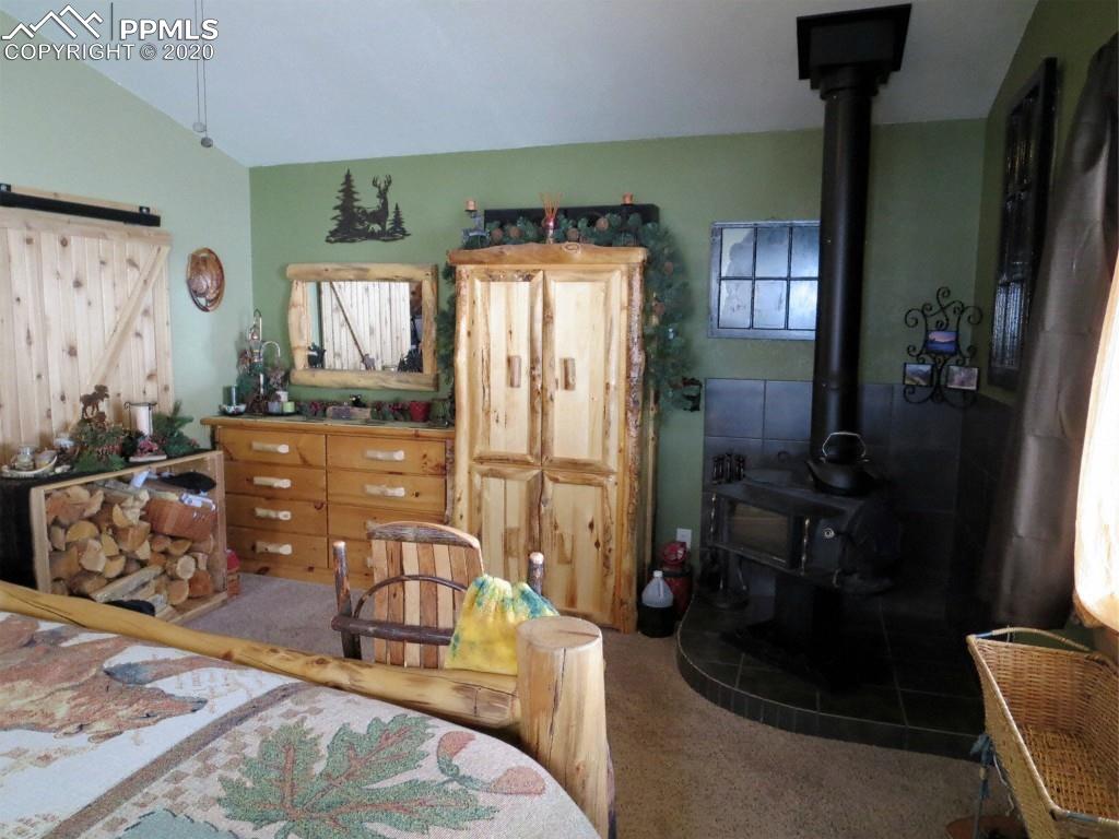 224 Empire Road Florissant, CO 80816 - Photo 16 of 25