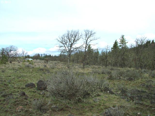 Pine Forest Road, Unit LOT2D Goldendale, WA 98620 - Photo 11 of 15 Gallery Image 11