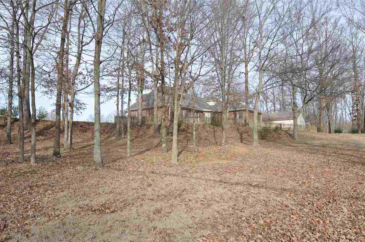 3420 Harrell Road Arlington, TN 38002 - Photo 5 of 25 Gallery Image 5