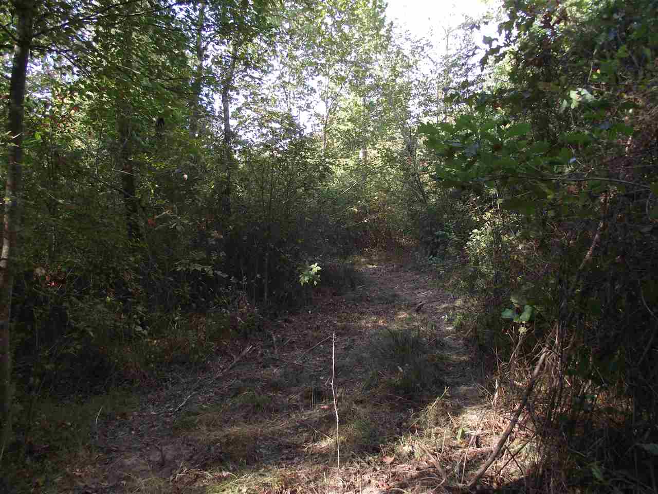 600 Chambers Store Road Michie, TN 38357 - Photo 10 of 18 Gallery Image 10