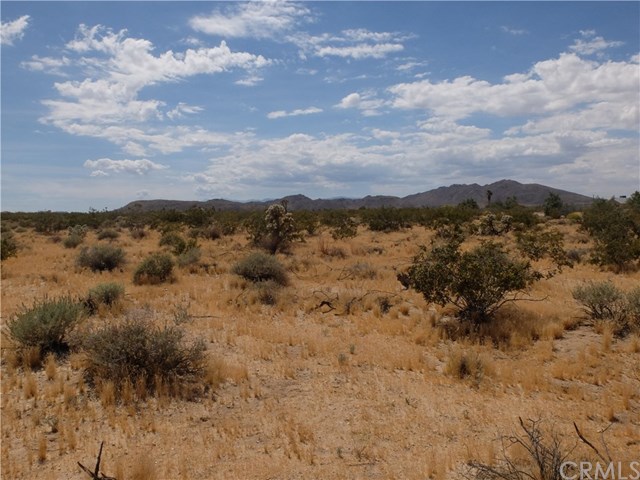 1234 Rice Joshua Tree, CA 92252 - Photo 6 of 7