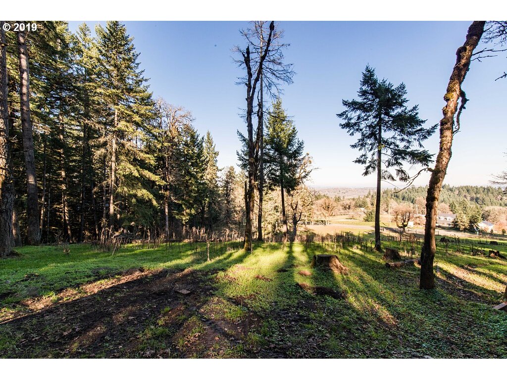 14910 Orchard Knob Road Dallas, OR 97338 - Photo 8 of 32