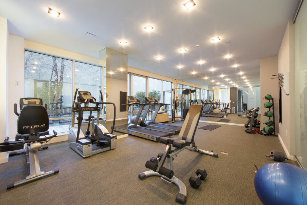 NV 101 N 5th St, Brooklyn, NY 11249 - Photo 4 of 8